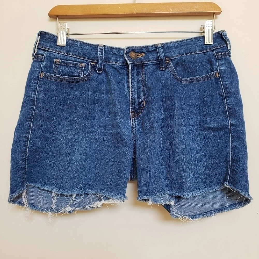 HOLLISTER Denim Cut Off Shorts